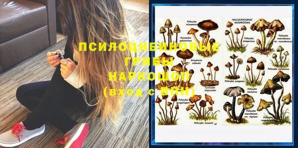 стаф Абаза