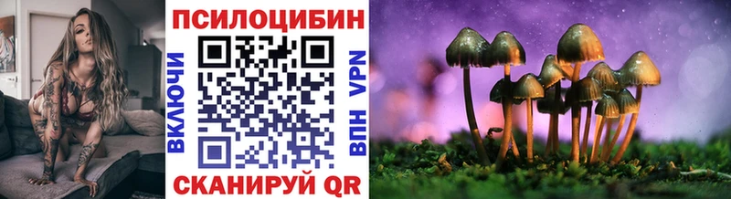 где можно купить наркотик  Звенигород  Псилоцибиновые грибы ЛСД 